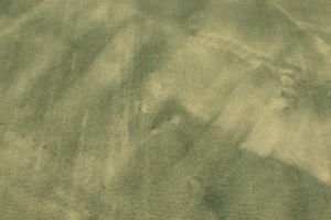 Green Tie-Dye 5X8 Hand-Tufted Modern Rug