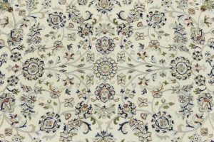 Cream Floral 5'5X7'9 Indo-Nain Oriental Rug