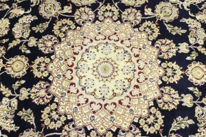 Cream Floral 7X10 Indo-Nain Oriental Rug