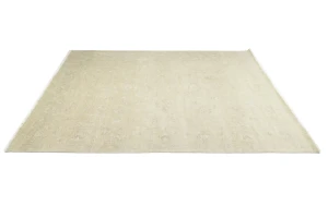 Muted Beige Floral 12X15 Transitional Oriental Rug