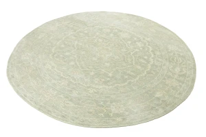 Muted Green Floral 6X6 Transitional Oriental Round Rug