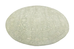 Muted Green Floral 6X6 Transitional Oriental Round Rug