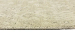 Muted Pinkish Beige Floral 4X6 Transitional Oriental Rug