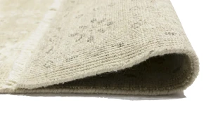 Muted Pinkish Beige Floral 4X6 Transitional Oriental Rug