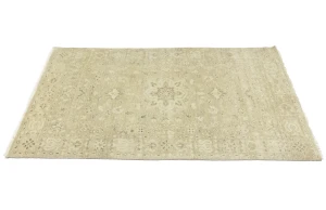 Muted Pinkish Beige Floral 4X6 Transitional Oriental Rug