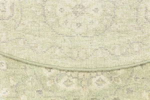 Muted Green Floral 6X6 Transitional Oriental Round Rug