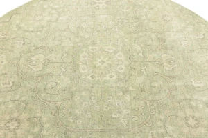Muted Green Floral 6X6 Transitional Oriental Round Rug