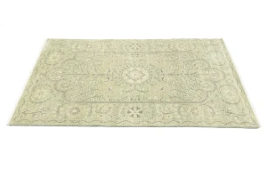 Muted Green Floral 4X6 Transitional Oriental Rug