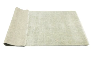 Muted Green Floral 4X6 Transitional Oriental Rug
