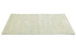 Muted Green Floral 4X6 Transitional Oriental Rug