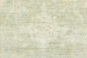 Muted Green Floral 4X6 Transitional Oriental Rug