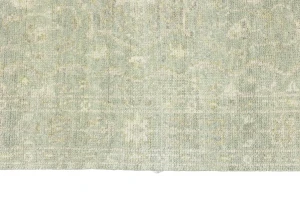 Muted Green Floral 3X5 Transitional Oriental Rug
