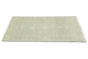 Muted Green Floral 3X5 Transitional Oriental Rug