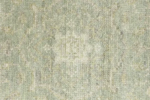 Muted Green Floral 3X5 Transitional Oriental Rug