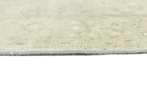 Muted Green Floral 3X5 Transitional Oriental Rug