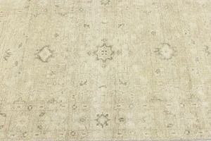 Muted Beige Pinkish Floral 3X5 Transitional Oriental Rug