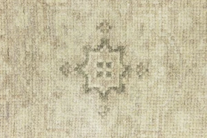 Muted Beige Pinkish Floral 3X5 Transitional Oriental Rug