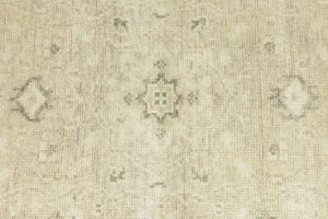 Muted Beige Pinkish Floral 3X5 Transitional Oriental Rug