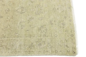 Muted Beige Floral 3X5 Transitional Oriental Rug