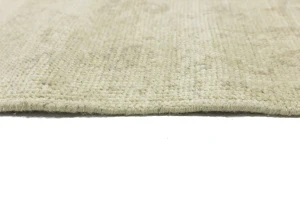 Muted Beige Floral 3X5 Transitional Oriental Rug