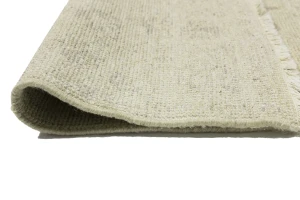 Muted Beige Floral 3X5 Transitional Oriental Rug