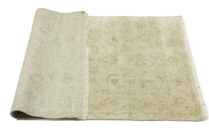 Muted Beige Floral 3X5 Transitional Oriental Rug