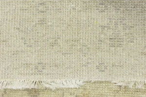 Muted Beige Floral 3X5 Transitional Oriental Rug