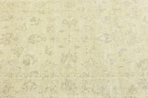 Muted Beige Floral 3X5 Transitional Oriental Rug