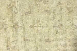 Muted Beige Floral 3X5 Transitional Oriental Rug