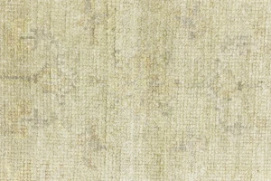 Muted Beige Floral 6X6 Transitional Oriental Round Rug
