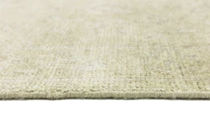 Muted Beige Floral 2'4X10 Transitional Oriental Runner Rug