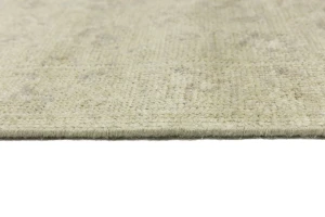 Muted Beige Floral 3X14 Transitional Oriental Runner Rug