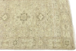 Muted Pinkish Beige Floral 3X14 Transitional Oriental Runner Rug