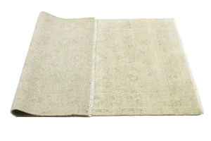 Muted Beige Floral 4X6 Transitional Oriental Rug