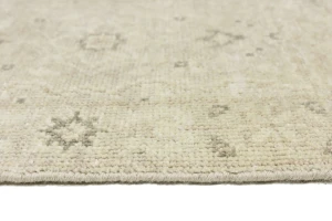 Muted Pinkish Beige Floral 2X3 Transitional Oriental Rug