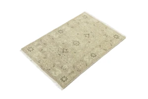 Muted Pinkish Beige Floral 2X3 Transitional Oriental Rug
