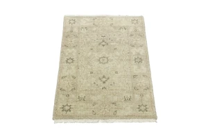 Muted Pinkish Beige Floral 2X3 Transitional Oriental Rug