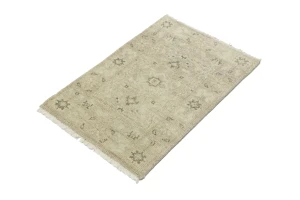 Muted Pinkish Beige Floral 2X3 Transitional Oriental Rug