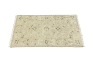 Muted Pinkish Beige Floral 2X3 Transitional Oriental Rug