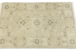 Muted Pinkish Beige Floral 2X3 Transitional Oriental Rug