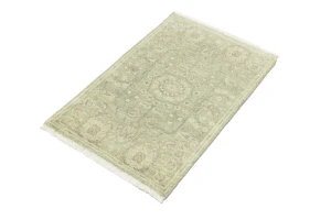 Muted Green Floral 2X3 Transitional Oriental Rug