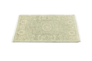 Muted Green Floral 2X3 Transitional Oriental Rug