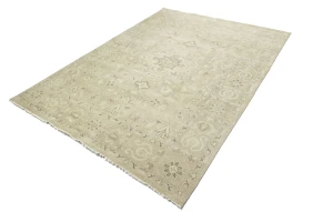 Muted Pinkish Beige Floral 9X12 Transitional Oriental Rug