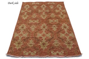 Rust Floral 4X6 Modern Oriental Rug