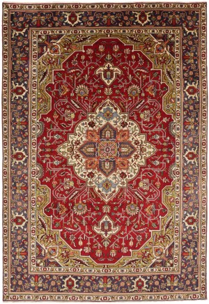 Red Traditional Floral 6'6X9'7 Vintage Oriental Persian Rug