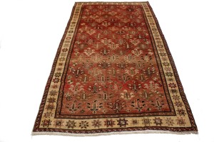 Antique Floral Tribal 5X9 Shiraz Persian Rug