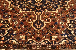 Vintage Brown Floral 10X12 Bakhtiari Persian Rug