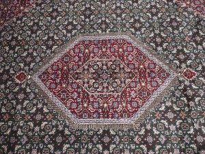 Green Floral Tribal 9X12 Indo-Bidjar Oriental Rug