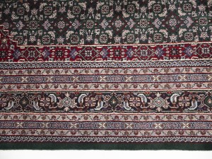 Green Floral Tribal 9X12 Indo-Bidjar Oriental Rug