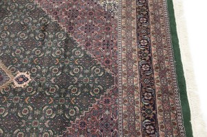 Green Floral Tribal 9X12 Indo-Bidjar Oriental Rug